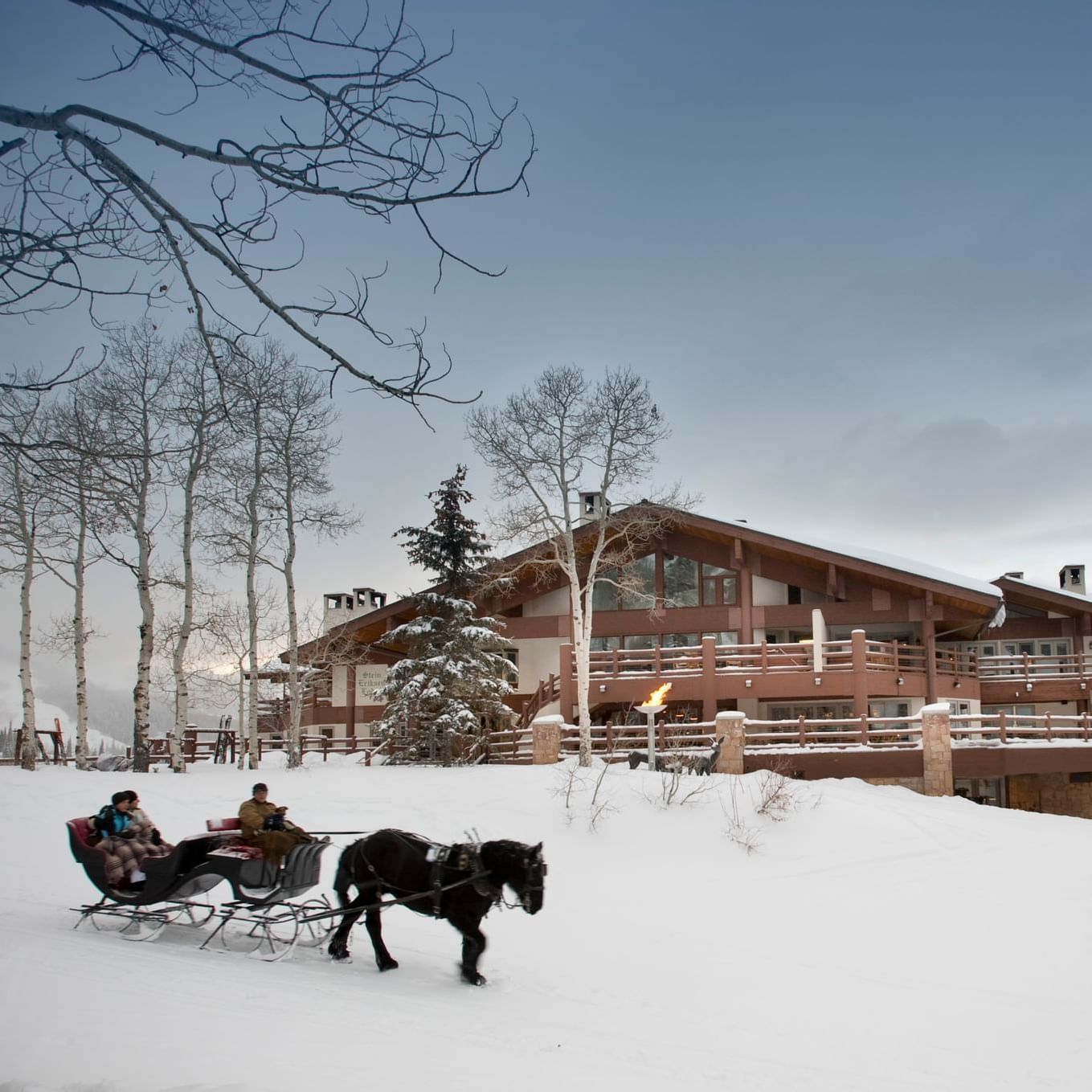 A couple enjoying a sleigh ride outdoors at Stein Lodge