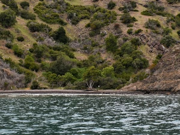 Scenic view of Willow Cove with mountains and lush green trees near Catalina Island luxury hotels