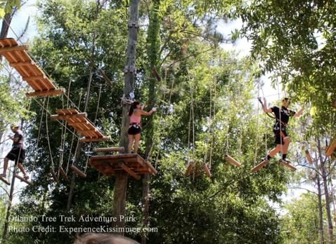 Orlando Tree Trek Adventure Park