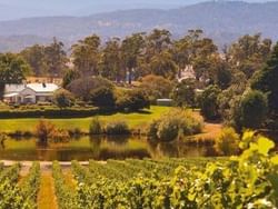 The Tamar Valley Wine Region near Hotel Grand Chancellor Launceston