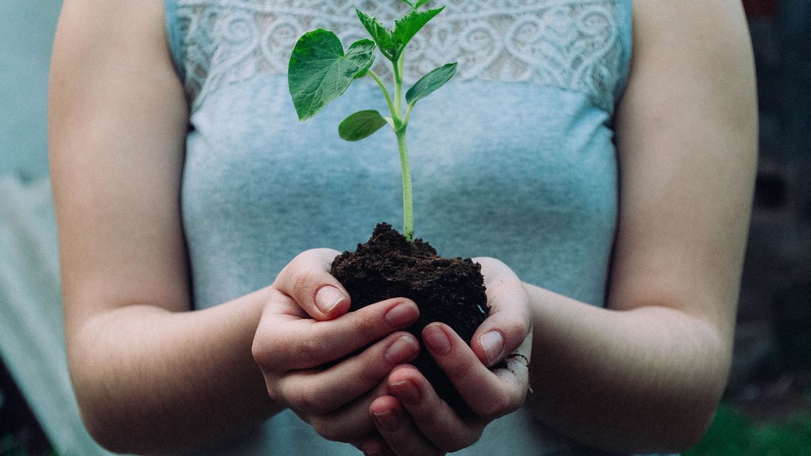 A woman holding a plant - Legacy Vacation Resorts