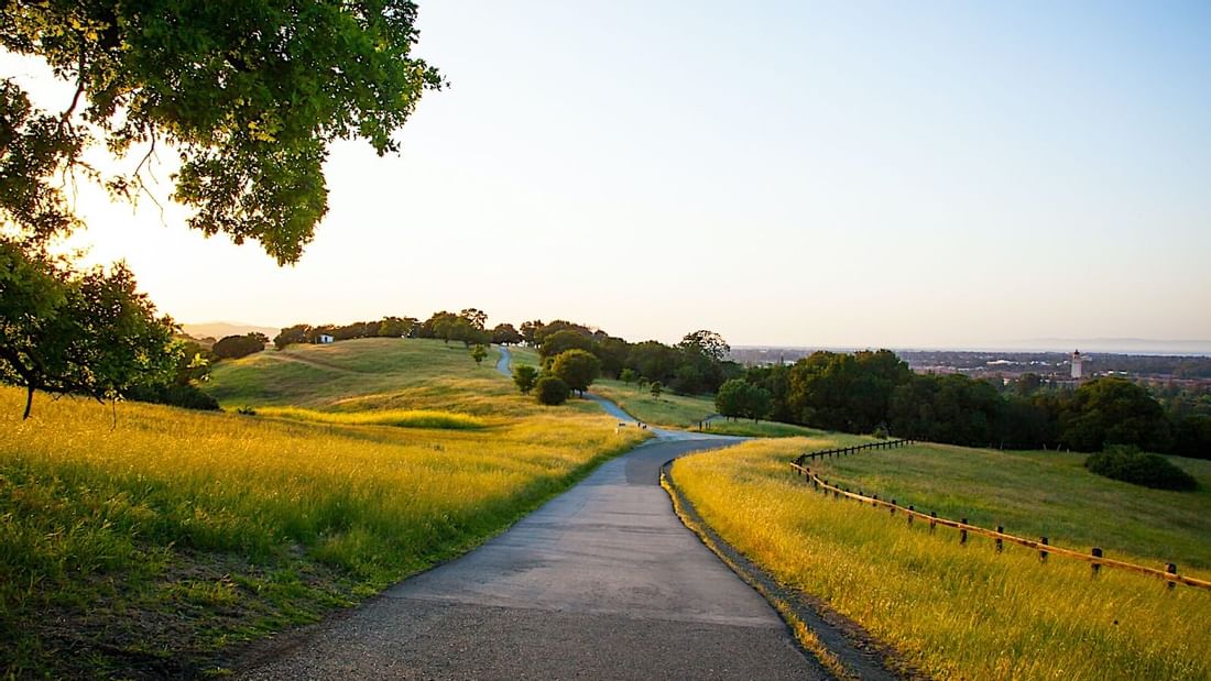 Scenic winding road through green hills at The Stanford Dish near El Prado Hotel