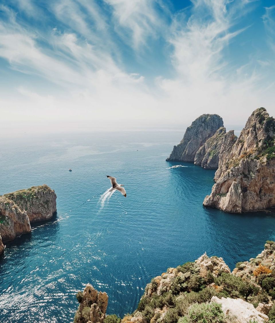 Seagull flying over blue sea waters with the famous Faraglioni limestone rock formations in Capri near Meraviglia