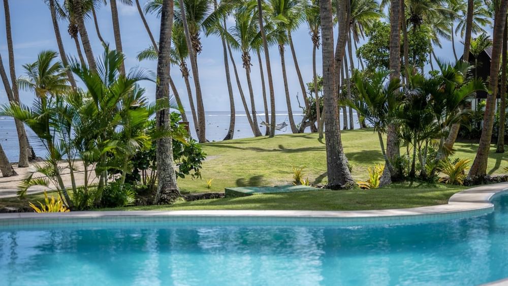 Clear pool surrounded by palm trees and lush greenery at Tambua Sands Beach Resort in Sigatoka.