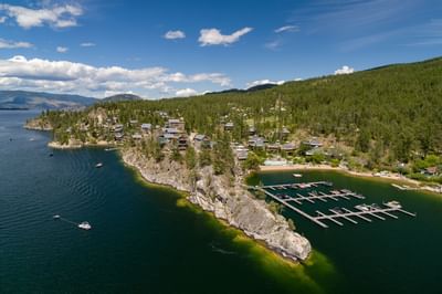 Aerial view of a lakeside resort with a marina, boats, and wooded hillside under a blue sky.