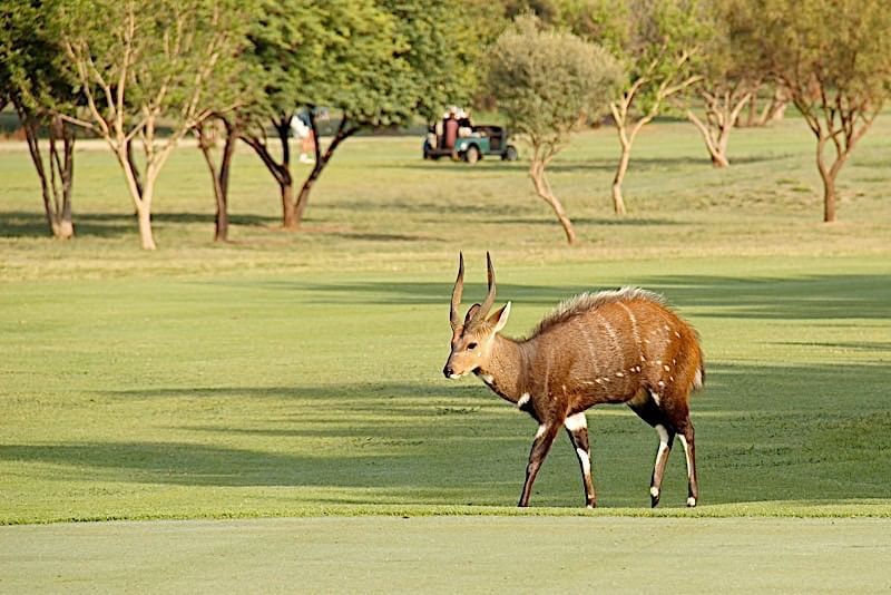 First_Group_Magalies Park Property Attractions 