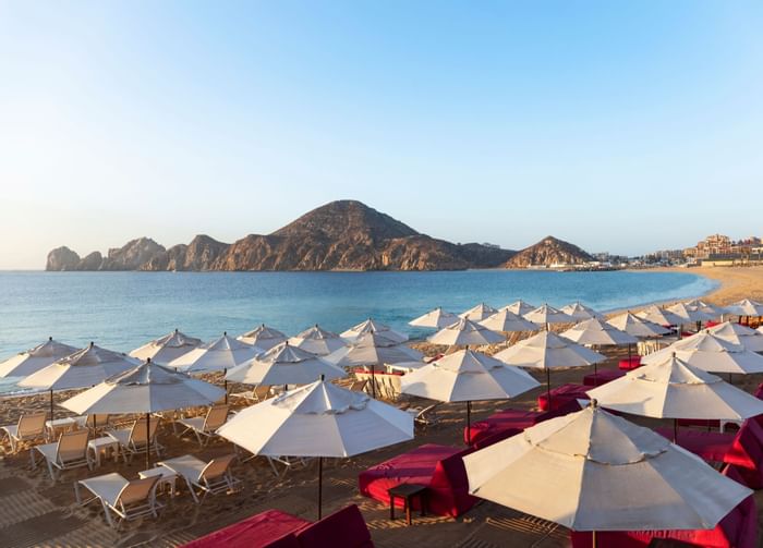 Sunbed area at Cachet Beach Club in Cabo villas beach resort