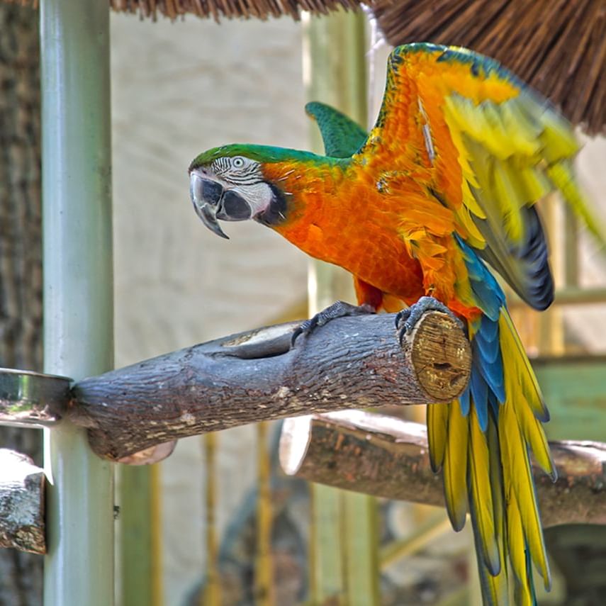 Bucket List of Fun Family Activities in Pigeon Forge