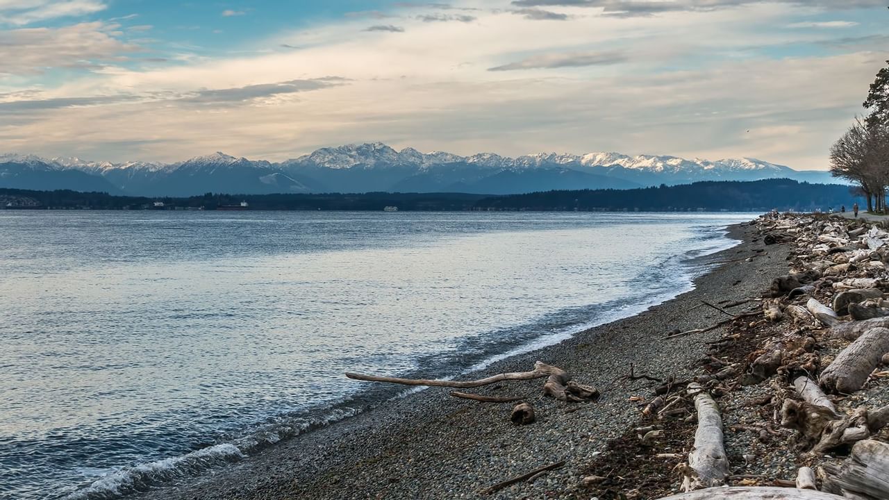 Shoreline with beach near The Oceanside Hotel
