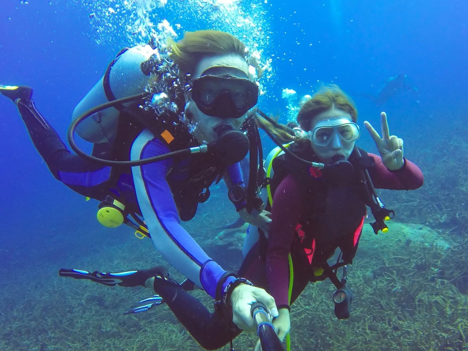 Buceo en el Golfo Dulce cerca de Playa Cativo Lodge