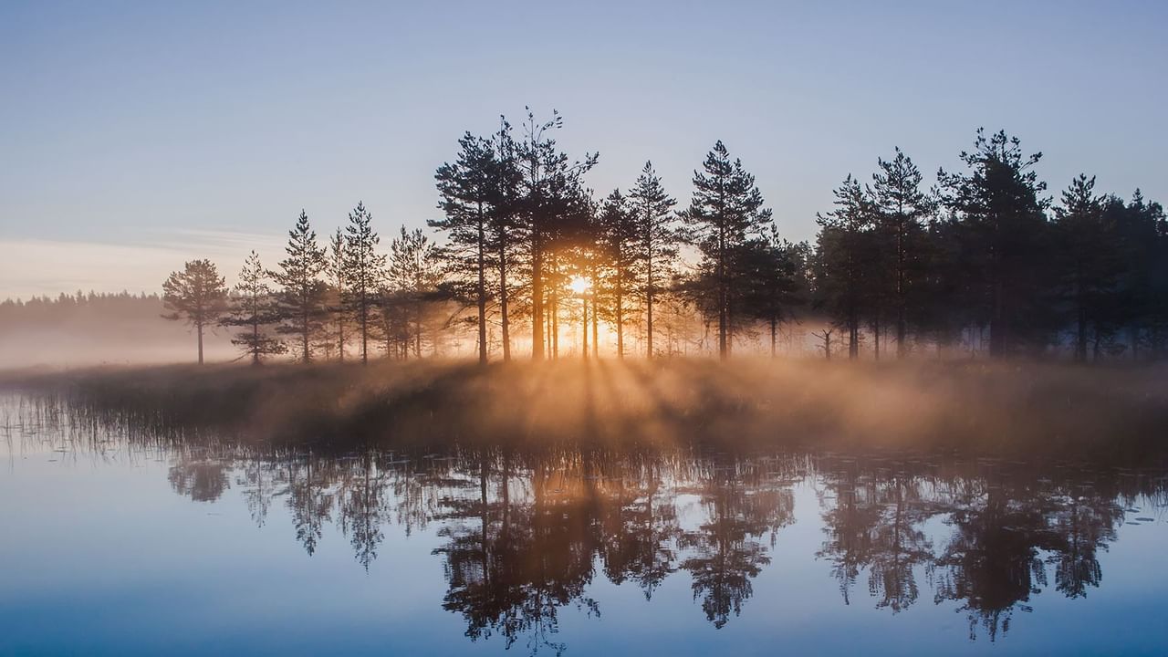 fog over a lake