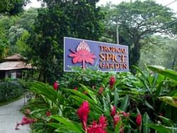Places of Interest - Tropical Spice Garden in Penang