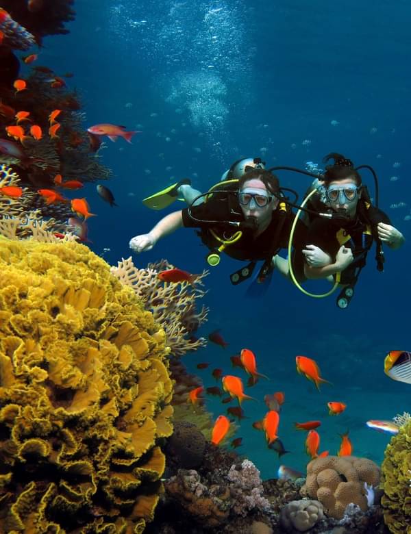 Diving at Gota Abu Ramada