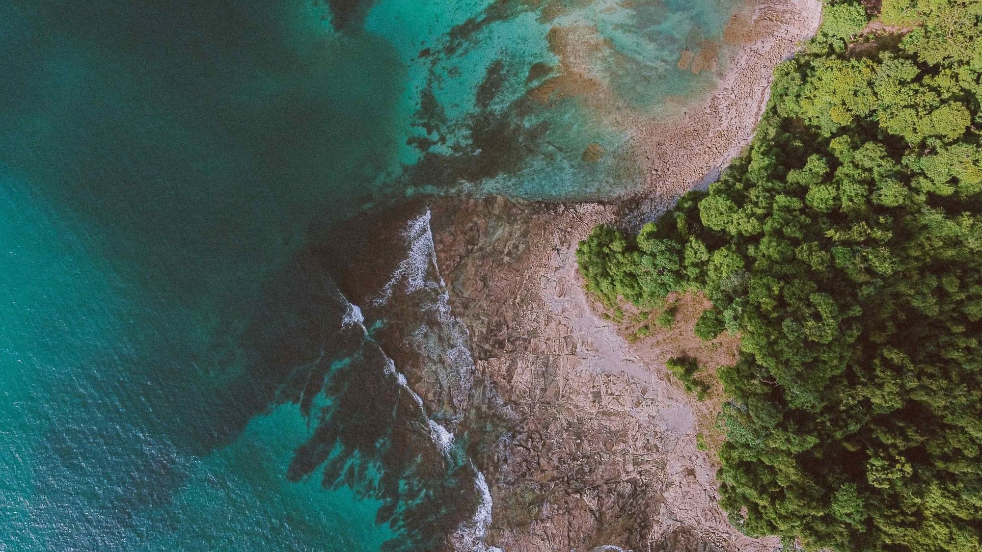 Aerial view of the ocean & forest near Buena Vista Del Rincon