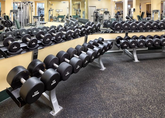 Gym & wellness area with types of equipment at Ogunquit Collection