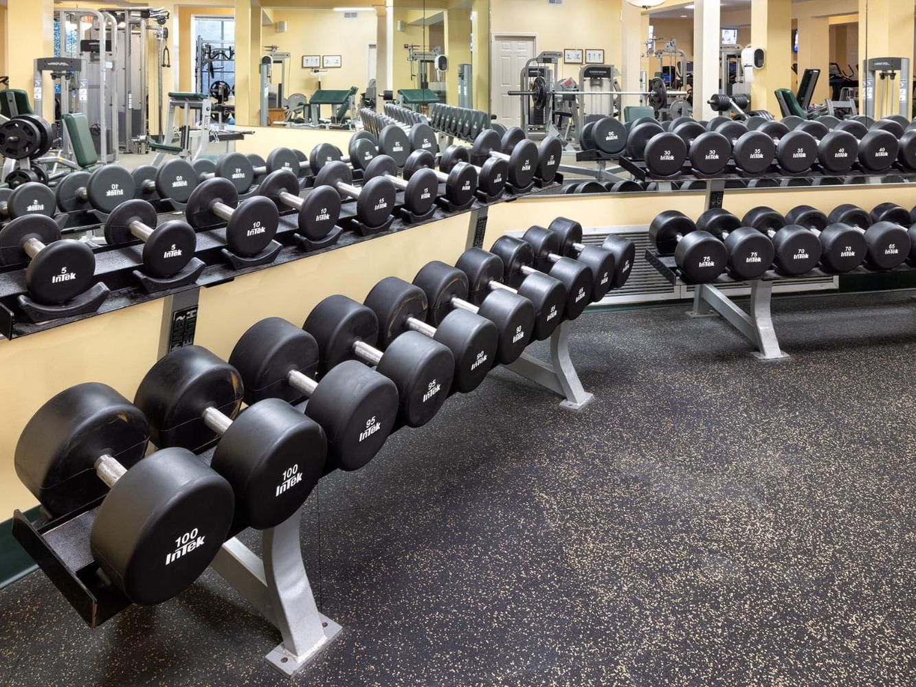 Gym interior with mirrors & dumbbell racks at Meadowmere Resort