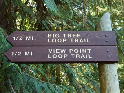 Trail guides at the forest near Alderbrook Resort & Spa