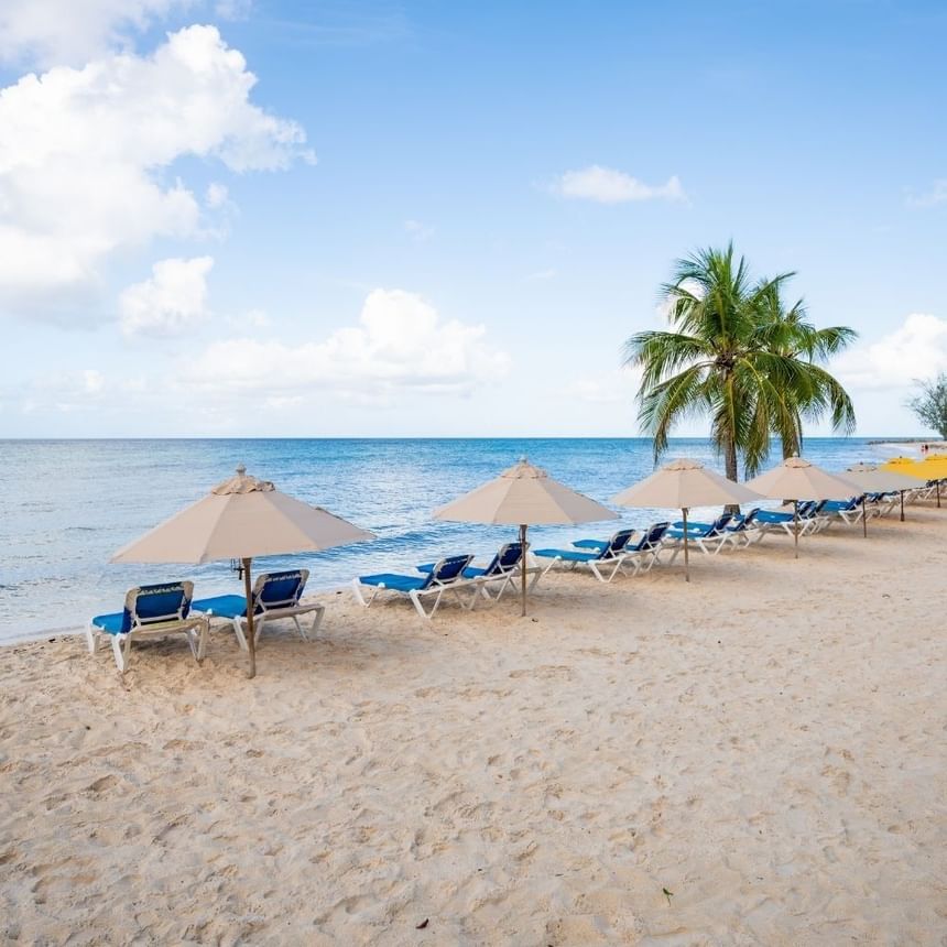 Blue lounge chairs with tan umbrellas placed on the sandy beach under a palm tree near the ocean at Time Out Hotel