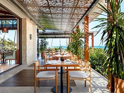 COA Restaurant at Dorado Beach Resort
