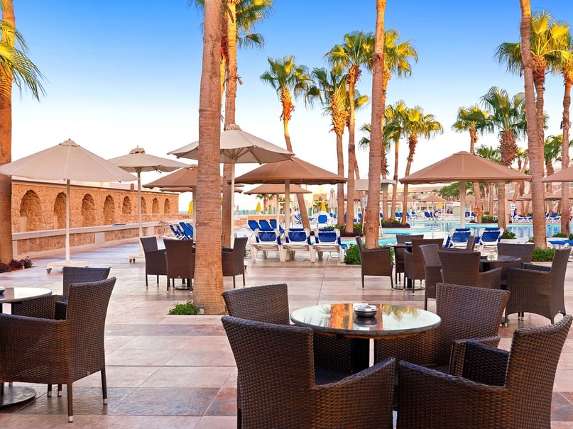 Palm Pool Bar at Pickalbatros Citadel Resort in Sahl Hasheesh