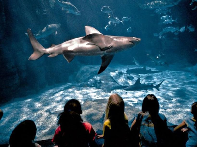 Virginia Aquarium & Marine Science Center at Virginia Beach