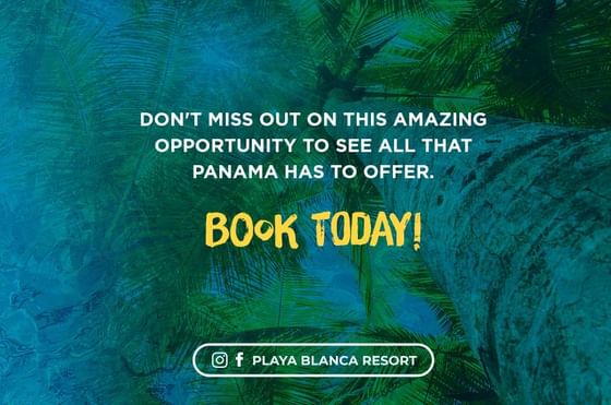 Playa Blanca Beach Resort