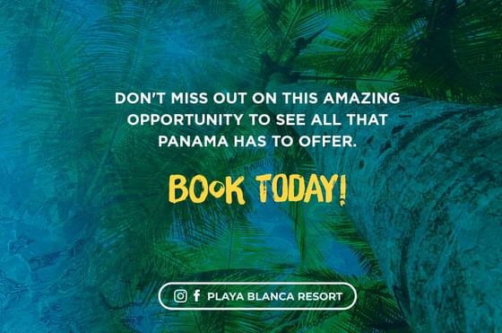 Playa Blanca Beach Resort