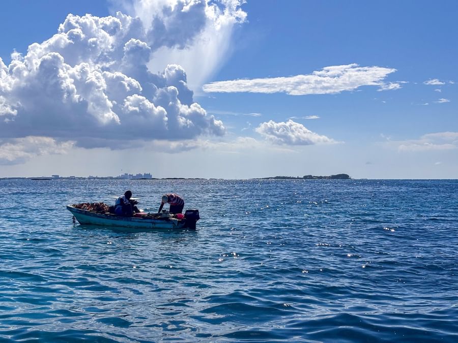 Fishermen in a boat by the horizon under large clouds surrounding deep blue waves near Warwick Paradise Island Bahamas