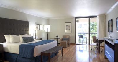 King bed with bench beside a balcony door overlooking the garden and a lounge chair in the Junior Suite at Miami Lakes Hotel