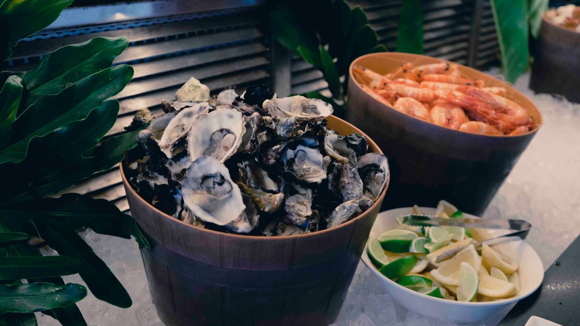 Dining Options at Pullman Cairns International