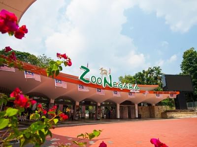 Zoo Negara