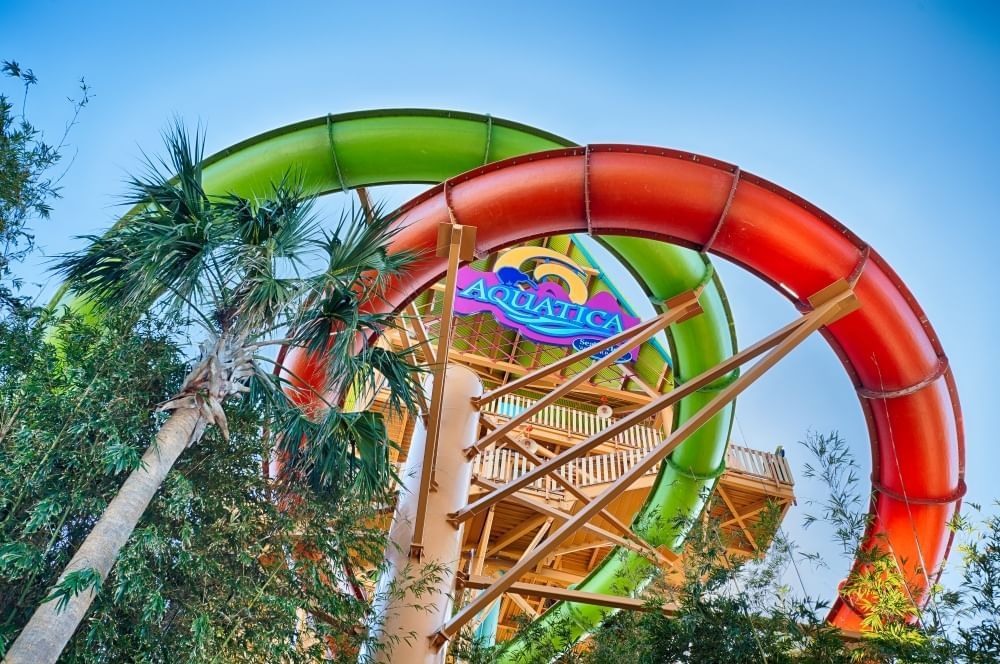 A large wooden tower with the Aquatica sign peeks through a green and orange waterslide loop and the tops of trees. 