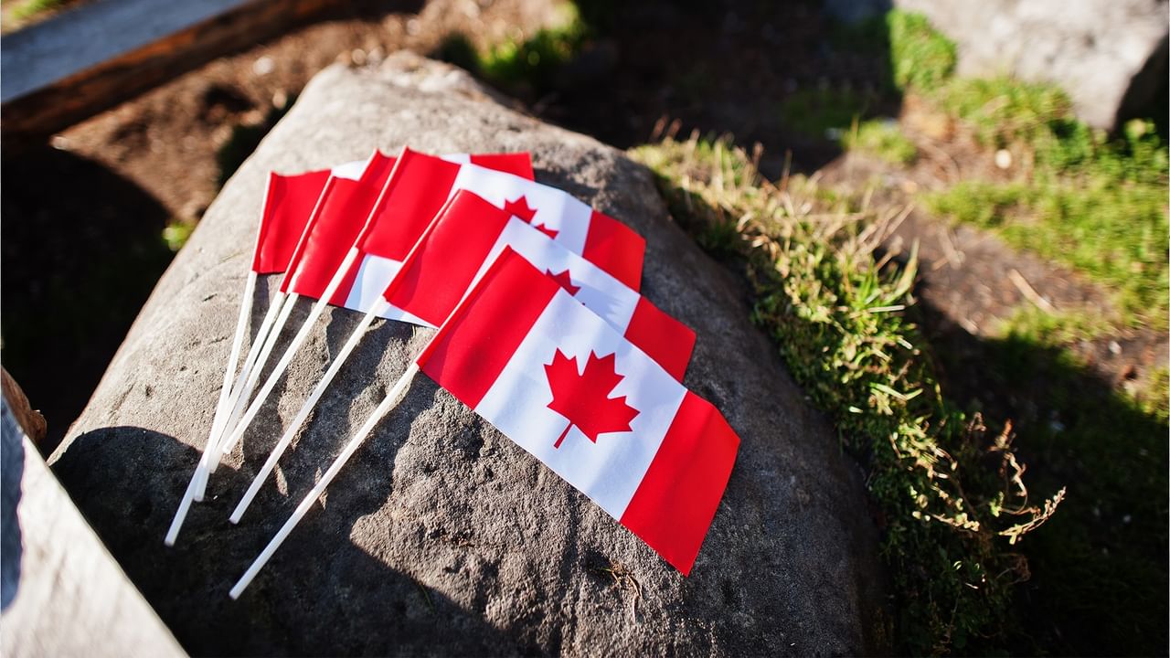 Canadian flags on a rock for Canada Day