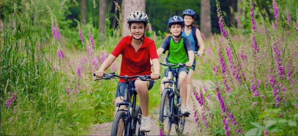 Family biking through a scenic forest trail in Whistler surrounded by tall purple wildflowers and greenery.