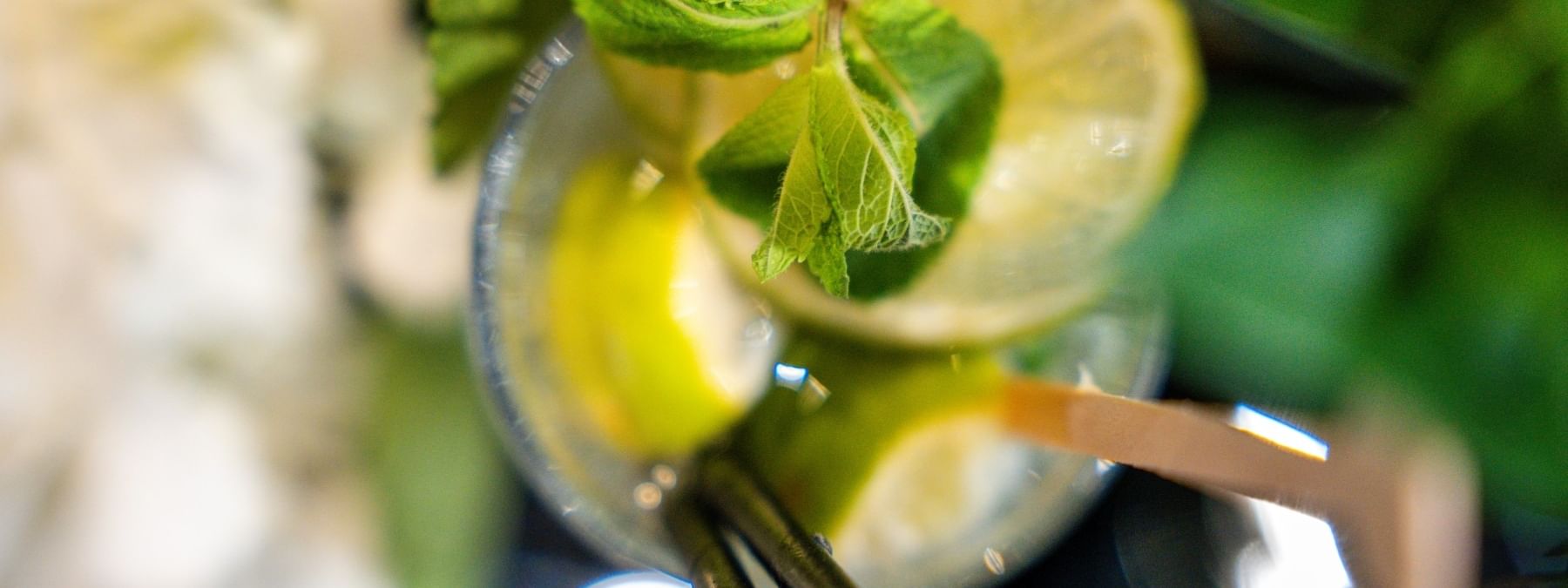 Lime slices and mint leaves in a glass with black straws in Bar “Le W” at Warwick Paris Champs Elysées
