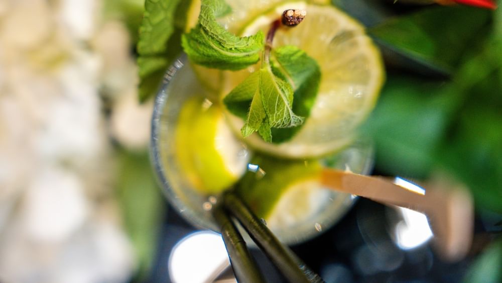 Lime slices and mint leaves in a glass with black straws in Bar “Le W” at Warwick Paris Champs Elysées
