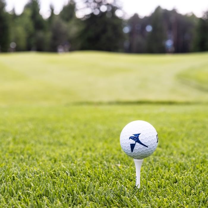 Weißer Golfball mit blauem Logo auf weißem Tee inmitten eines gepflegten grünen Golfplatzes.