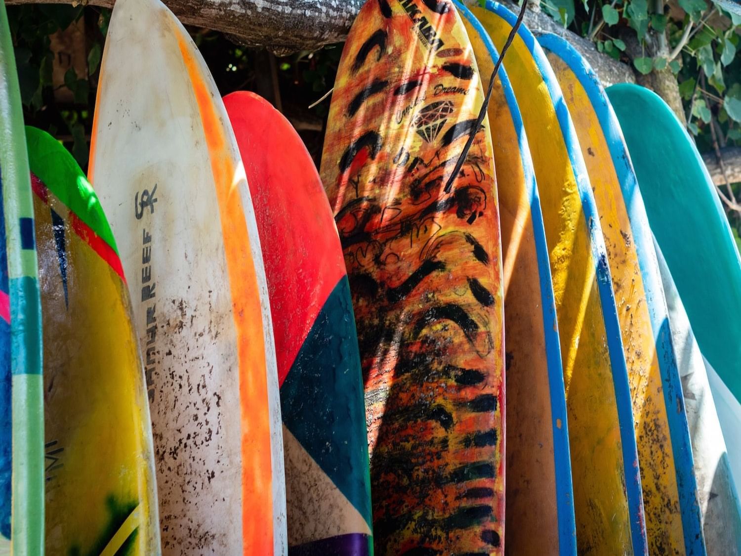 Surfboards lined up near The Rockaway Hotel