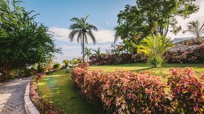 Lush tropical gardens with palm trees, colorful shrubs, and manicured lawns under a blue sky at Hotel Montana Haiti