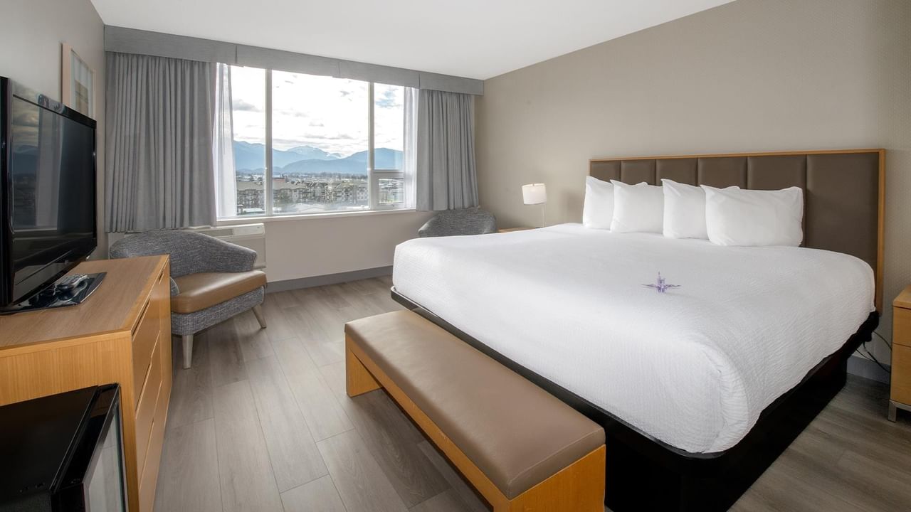 Comfortable hotel room with a king bed and a view.