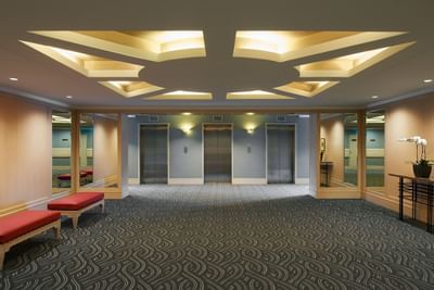 Elevators in the lobby floor with carpeted floors at York Hotel Singapore