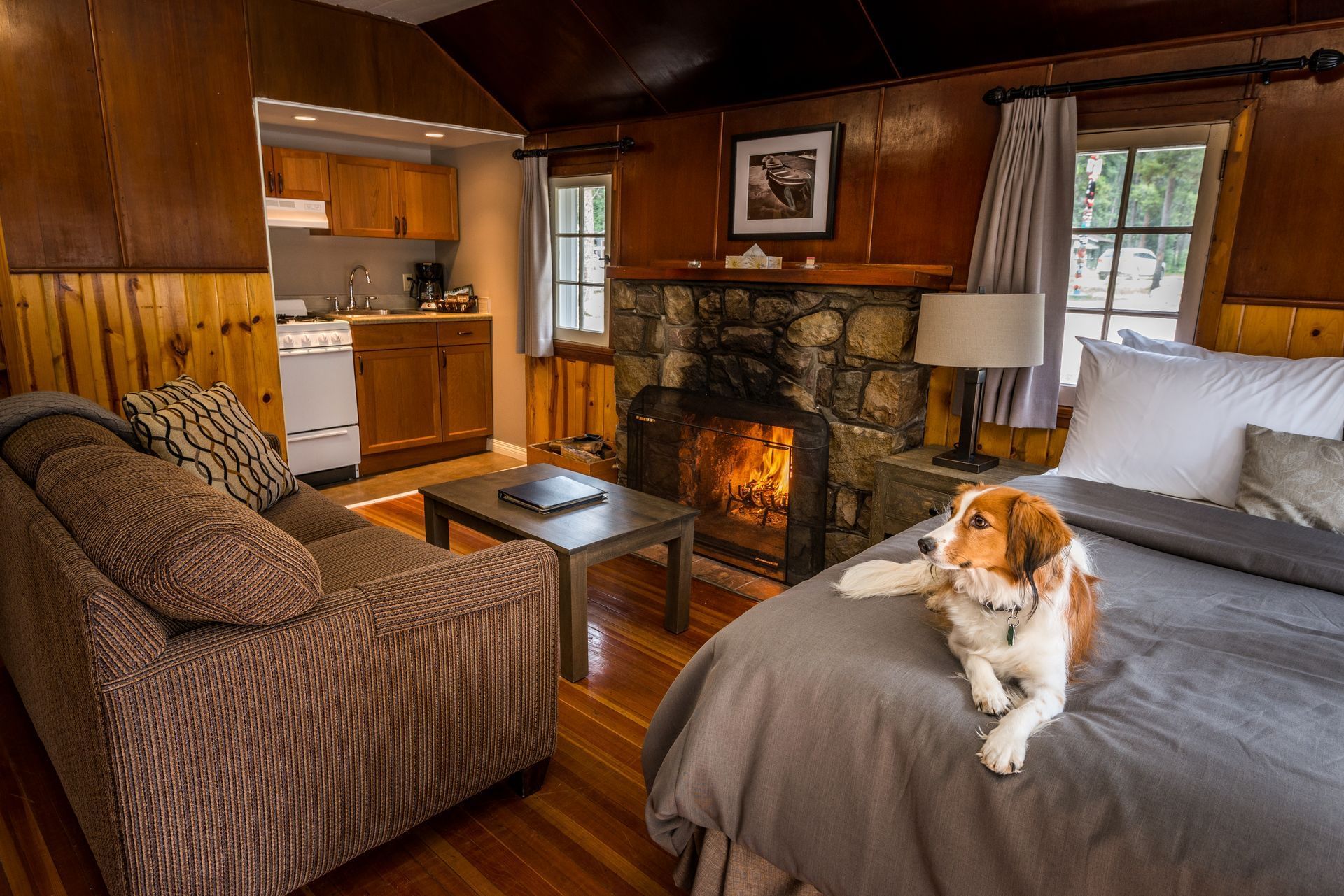 Tekarra Lodge - Bachelor Pet Friendly