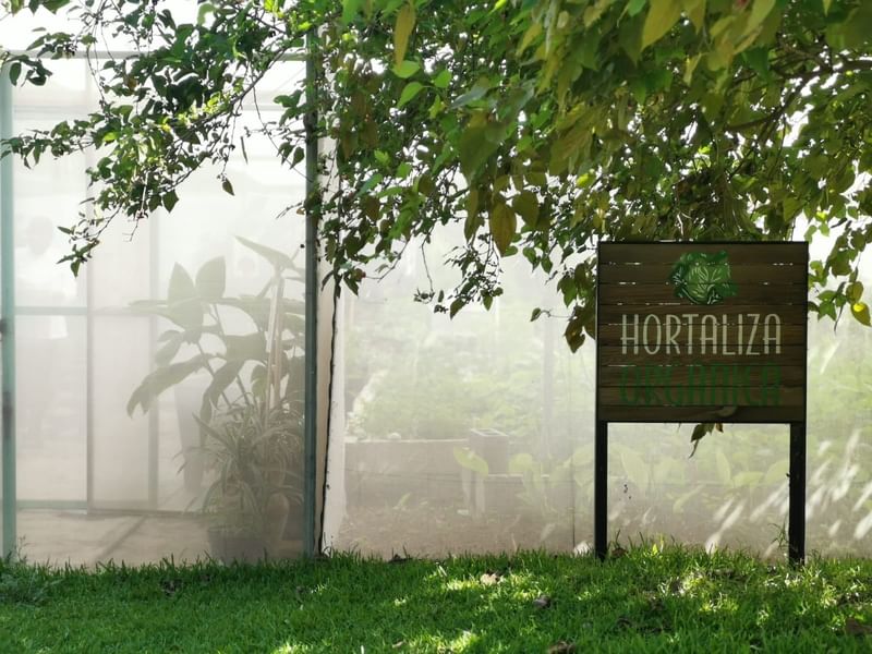 Hortaliza at Hotel Curamoria Huayacán Cuernavaca