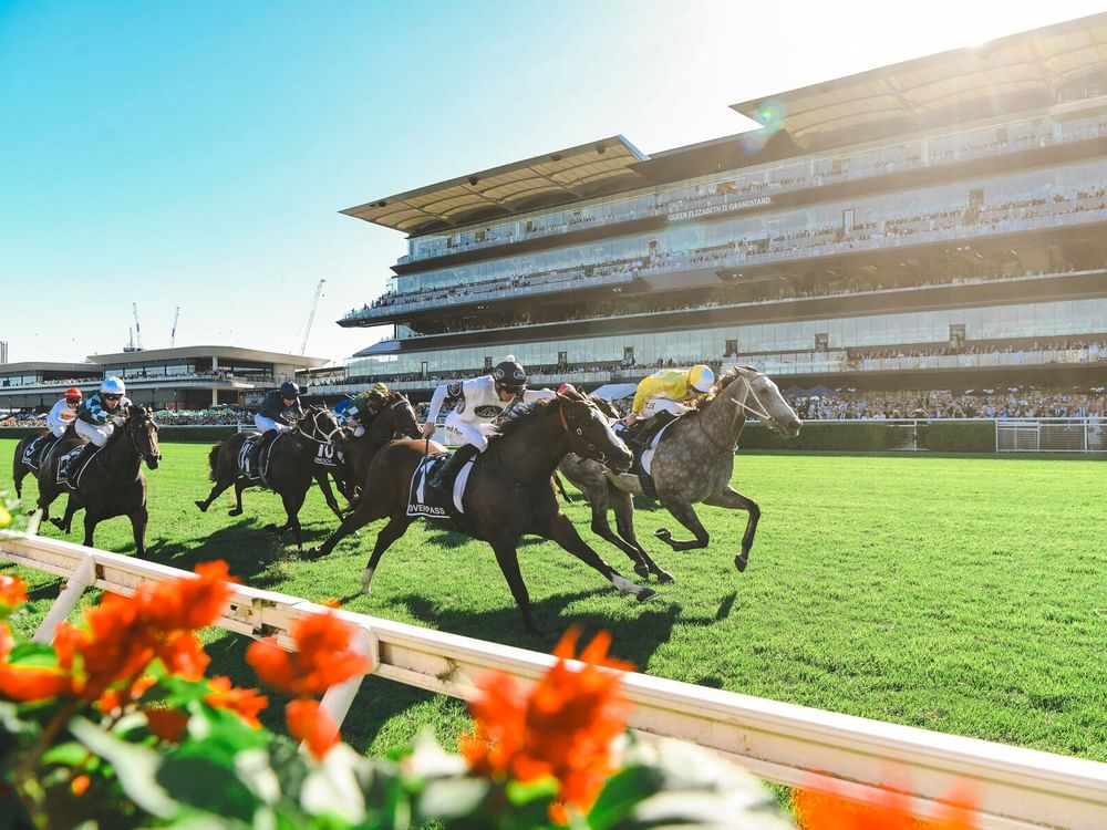 Jockeys racing horses on a track with spectators at Sydney Autumn Racing Carnival.