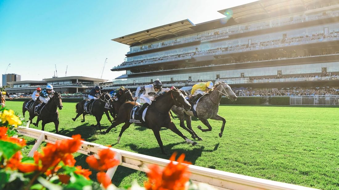 Jockeys racing horses on a track with spectators at Sydney Autumn Racing Carnival.