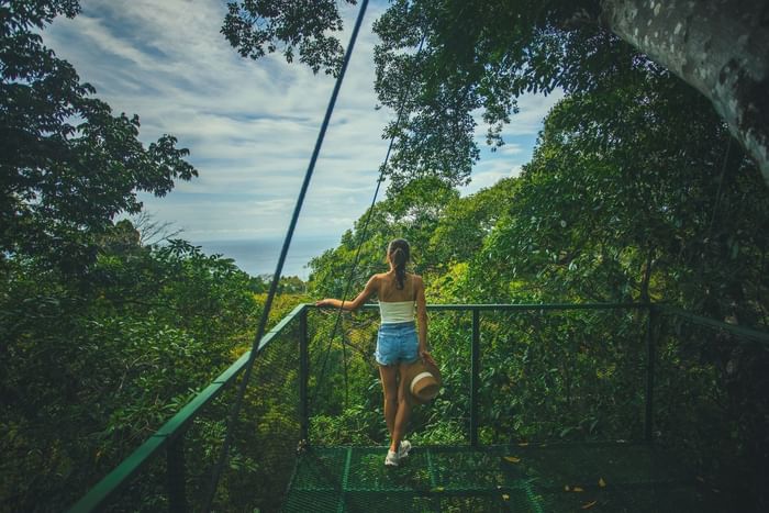 Woman holding hat on elevated viewing deck surrounded by rainforest canopy overlooking ocean view at Los Altos Resort