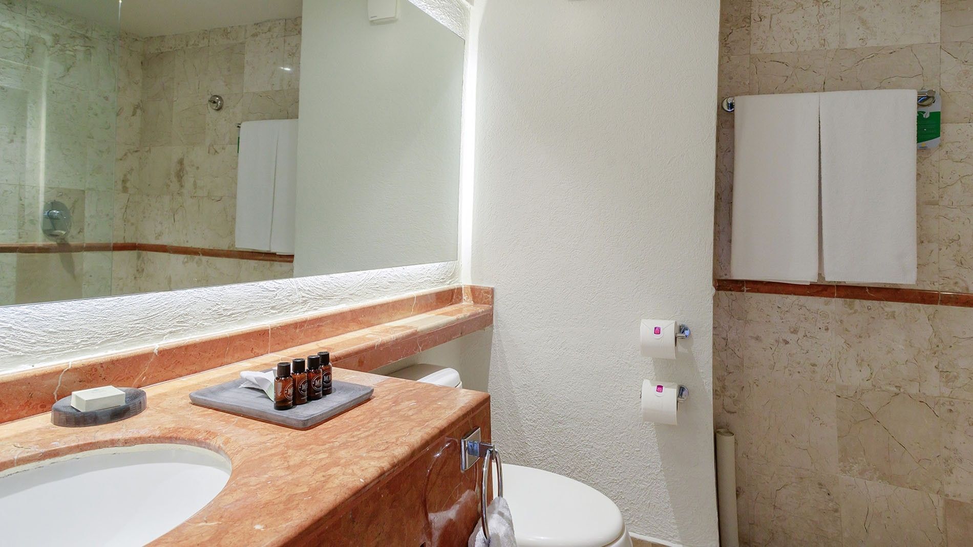 King Deluxe Superior bathroom showing a marble countertop, white toilet, and tiled walls at Camino Real Veracruz