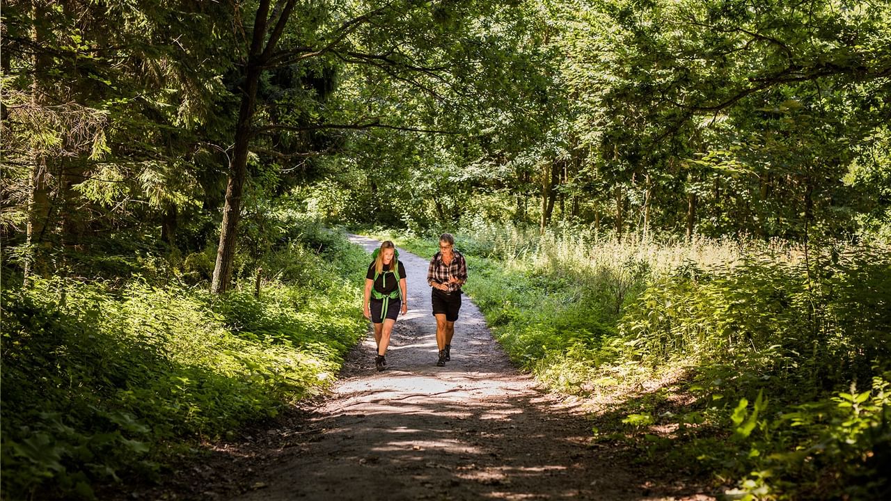 Two hikers walking on a dirt trail through dense greenery at Centennial Park.