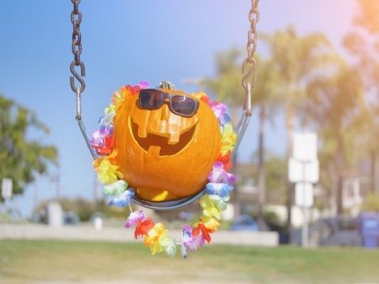A grinning jack-o-lantern wearing sunglasses and a lei sitting on a swing surrounded by palm trees during fall in Orlando.