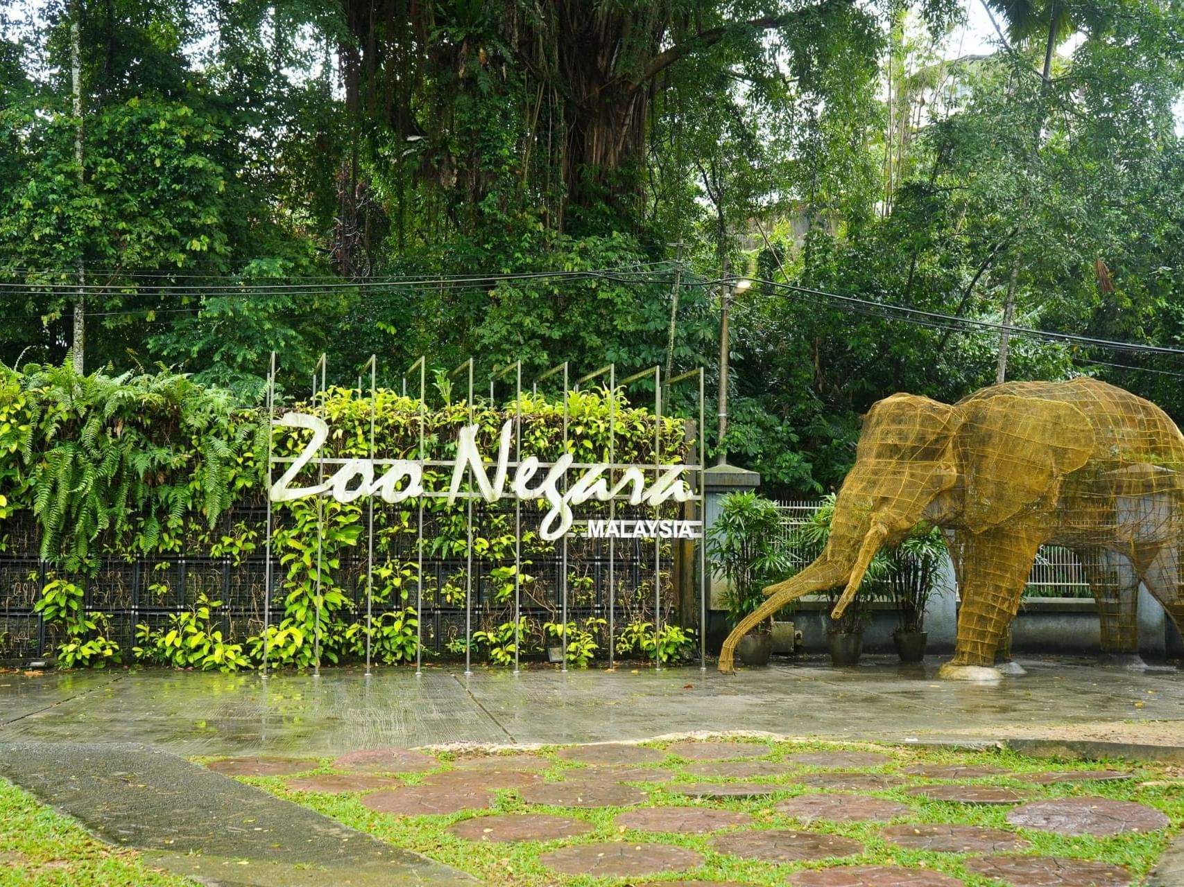 Large elephant sculptures in National Zoo, a famous place to visit in Kuala Lumpur near Imperial Lexis